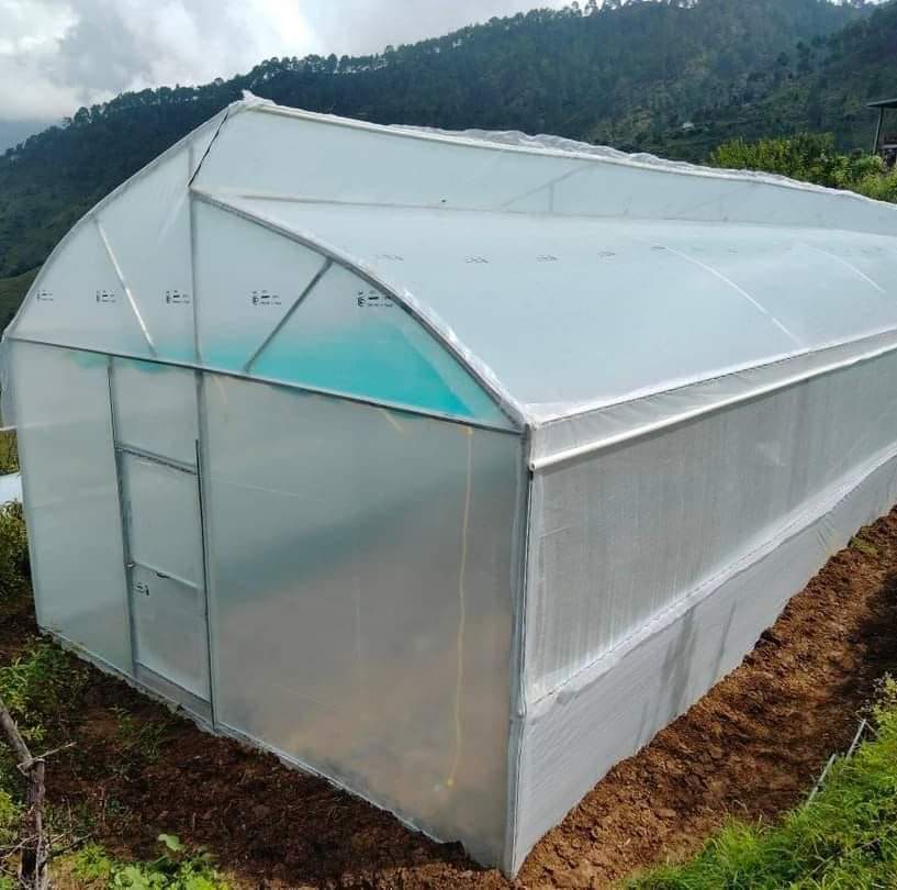 Modern greenhouse interior