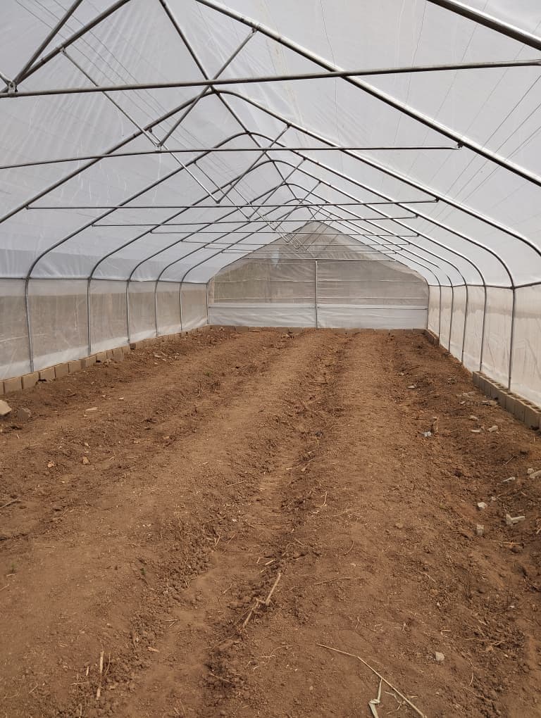 High-tech greenhouse root system