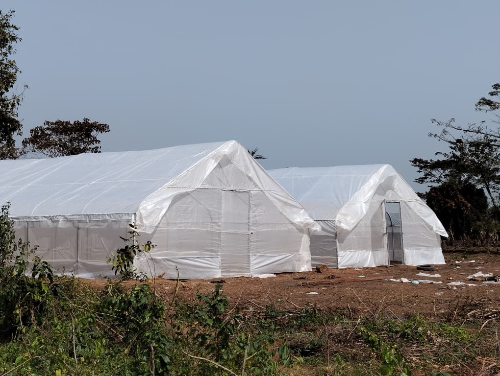Greenhouse Interior
