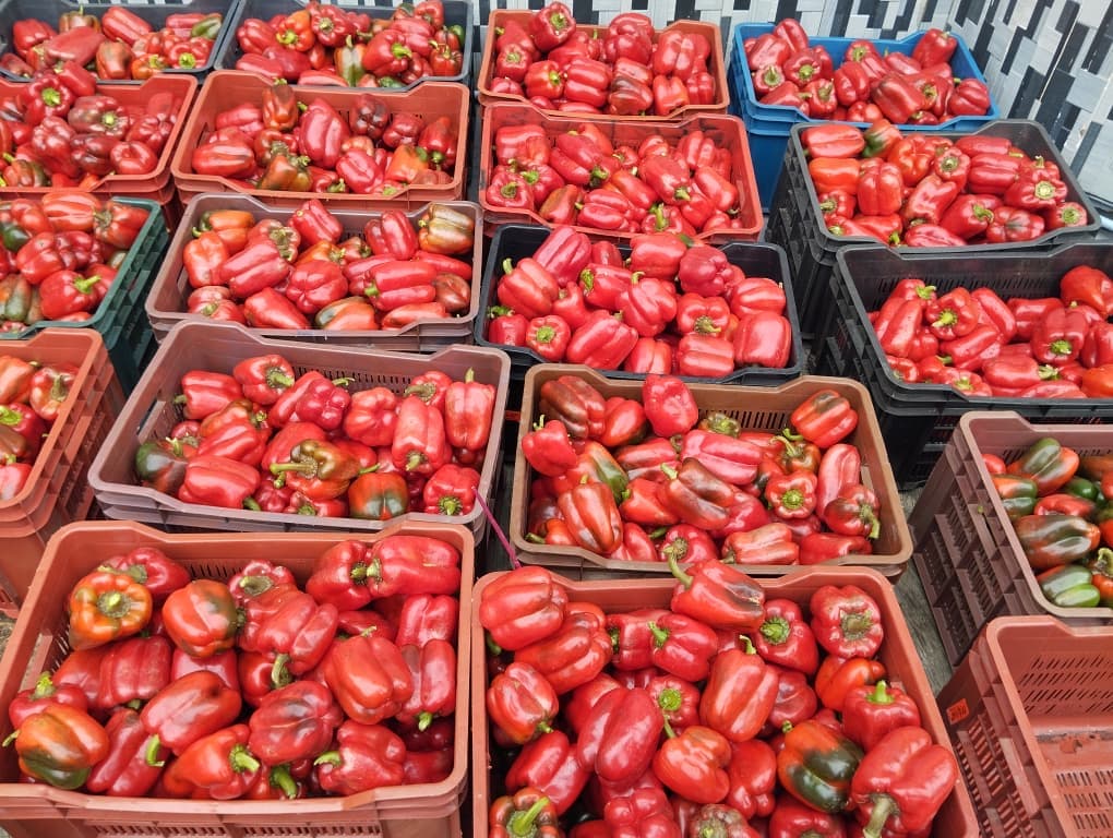 Cherry Tomatoes
